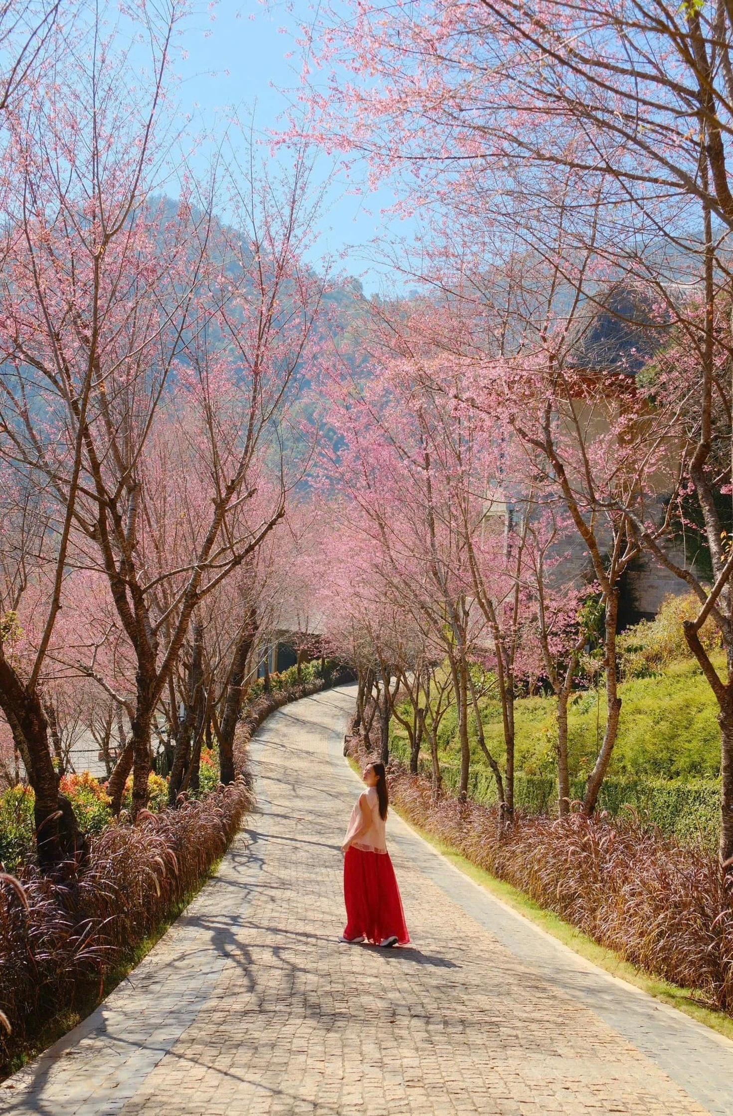 luong-thuy-linh-ben-hoa-to-day-t-1.jpg