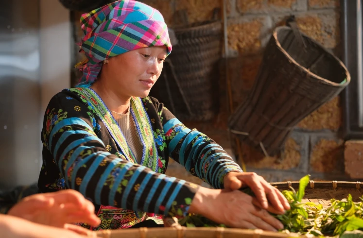 Những tư liệu được ghi lại tại Suối Giàng đã trở thành chất liệu quan trọng cho hành trình lan tỏa văn hóa trà Việt của dự án. (Ảnh: BTC)