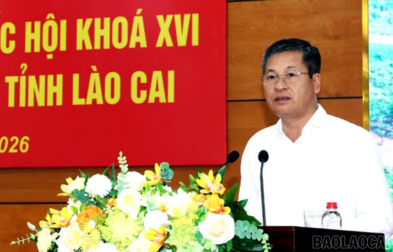 baolaocai-br_1l8a8782c.jpg