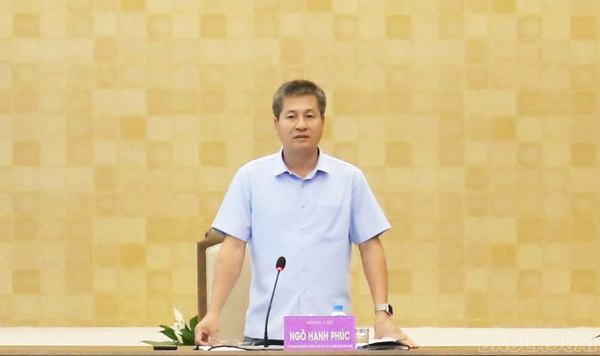 baolaocai-tr-1784689321702-1423586887867225351-1423586887867225351-d43e5afab78d11221f237f9c2b9e5cd1.jpg