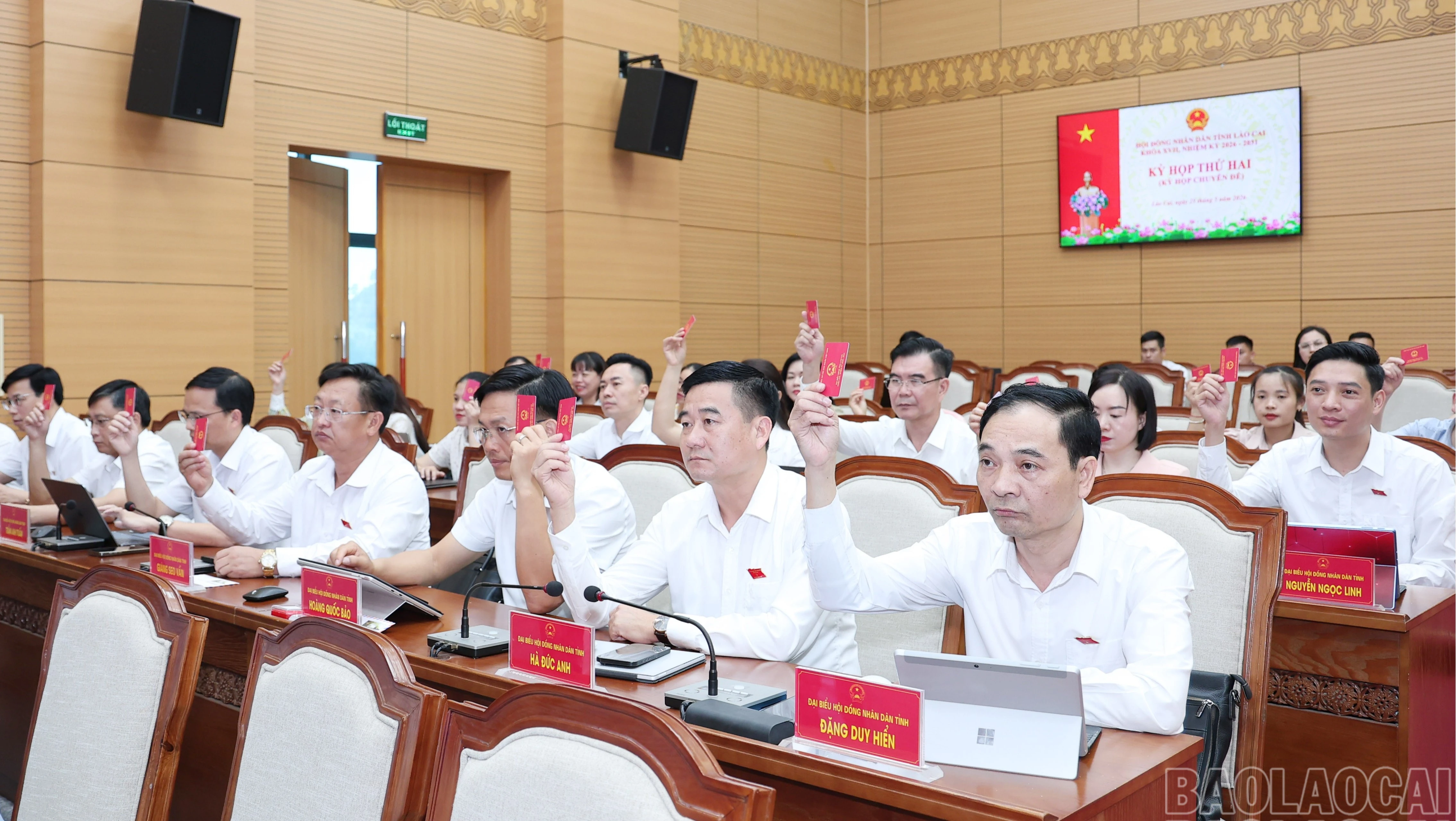 baolaocai-br_br-img-4848.jpg