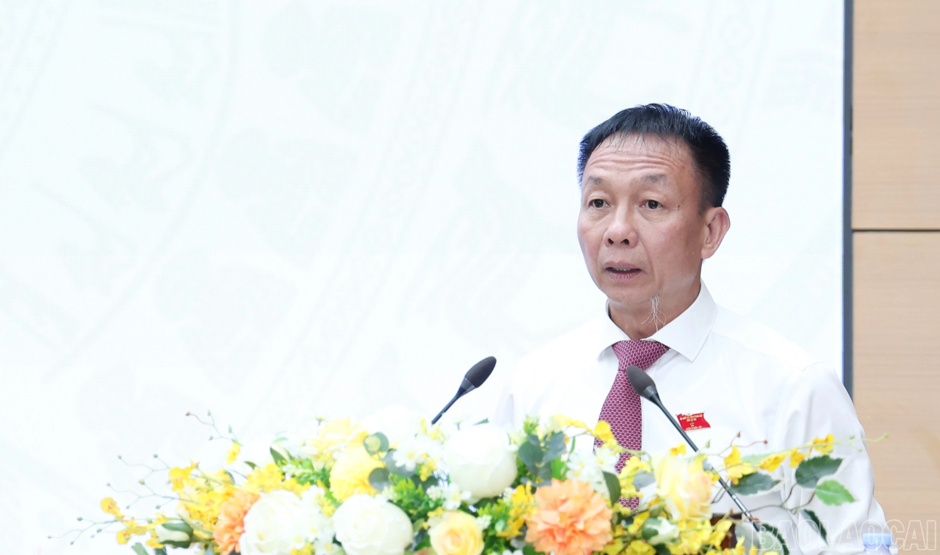 baolaocai-br_br-img-4866.jpg