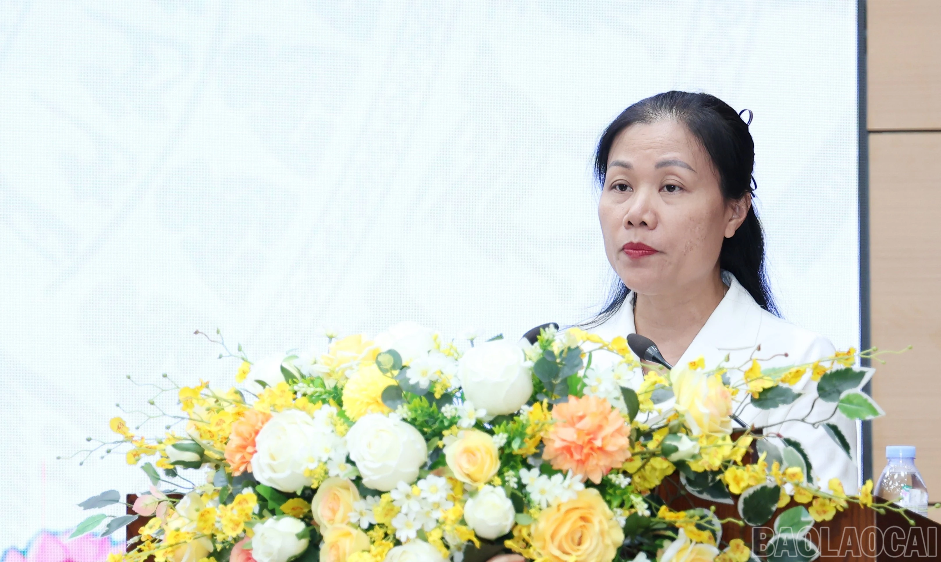 baolaocai-br_br-img-4800.jpg