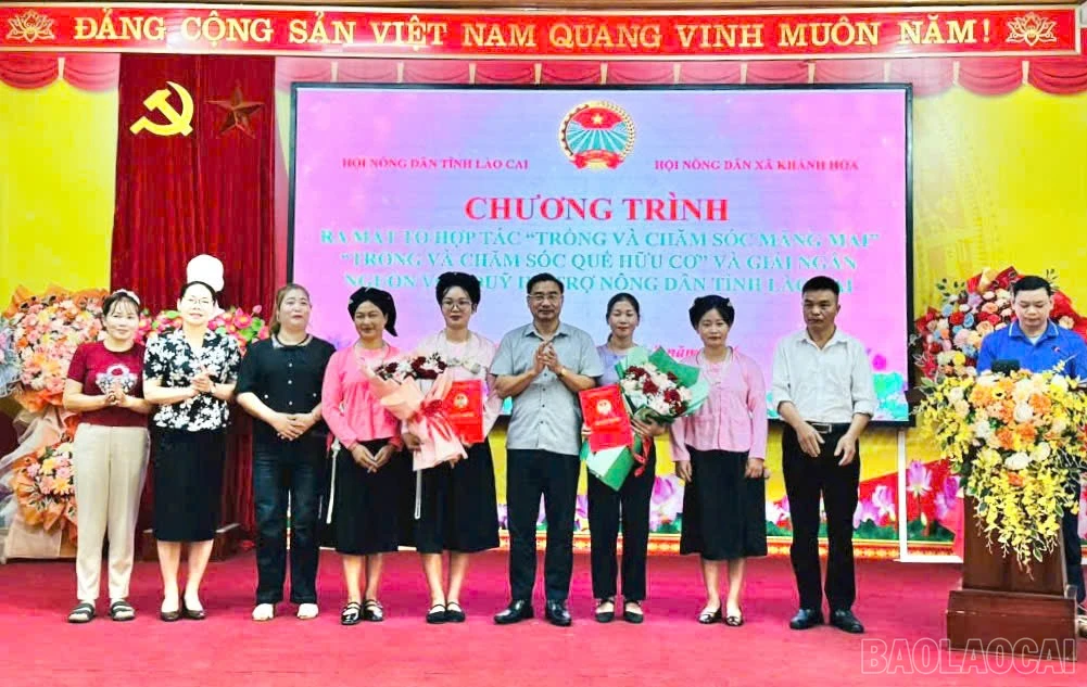 baolaocai-br_anh-1.jpg