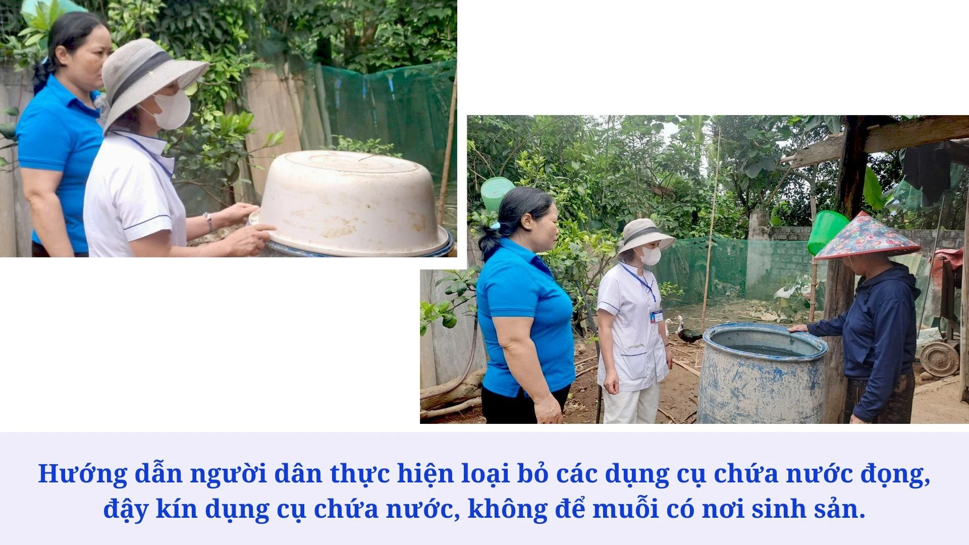 phat-trien-dang-vien.jpg