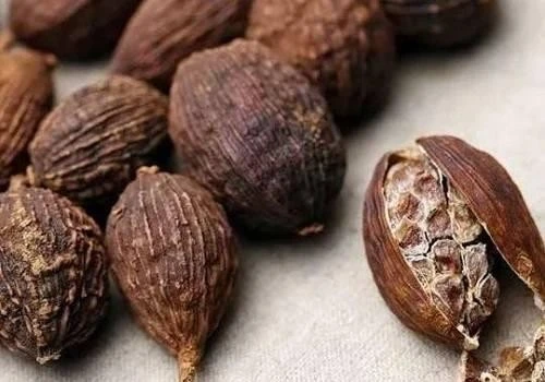 Sa nhân giúp giảm đầy bụng, khó tiêu.