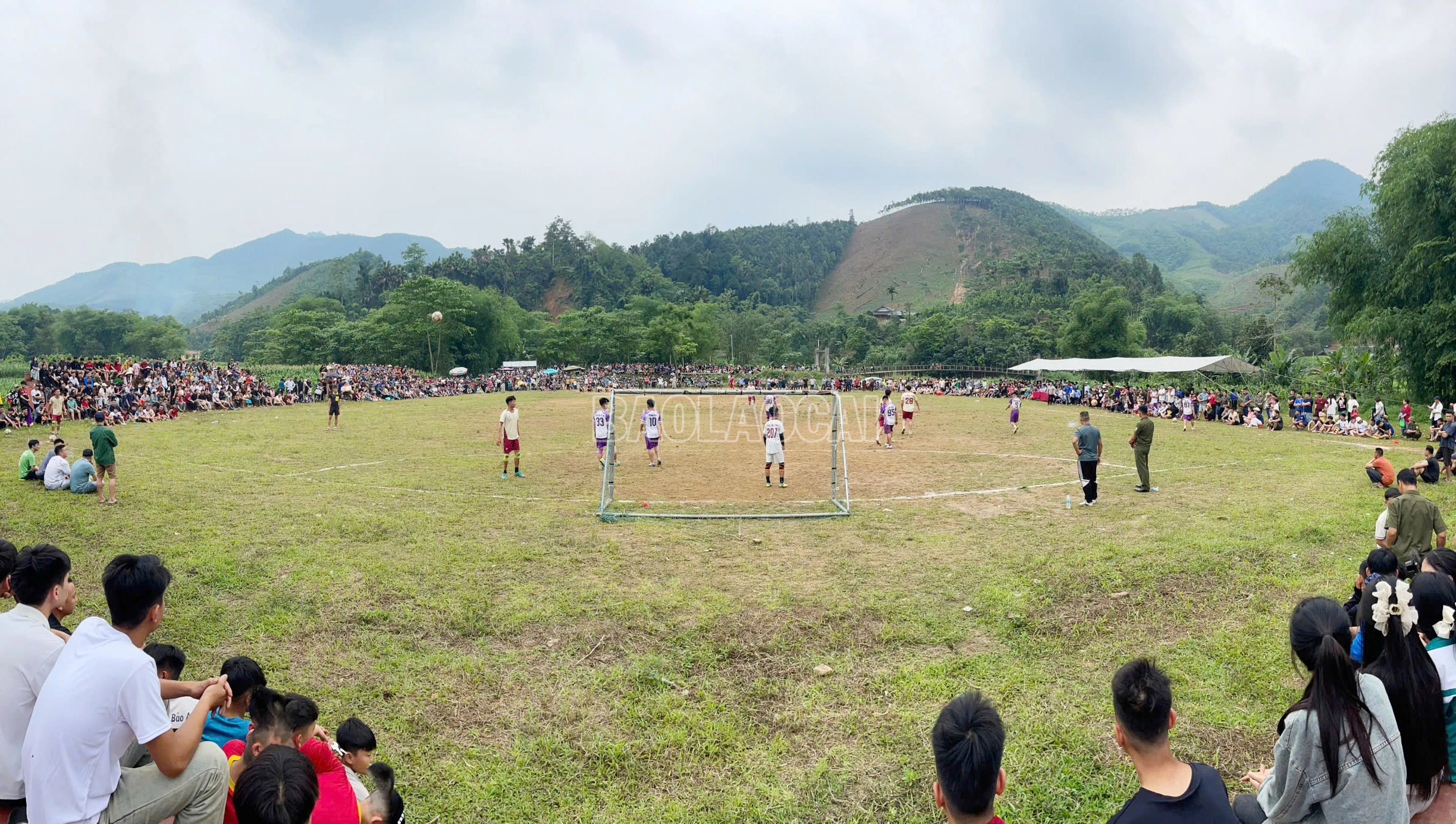 baolaocai-c_z7769311857733-5914488aacec16ed083a034c0c8b5c26-1.jpg