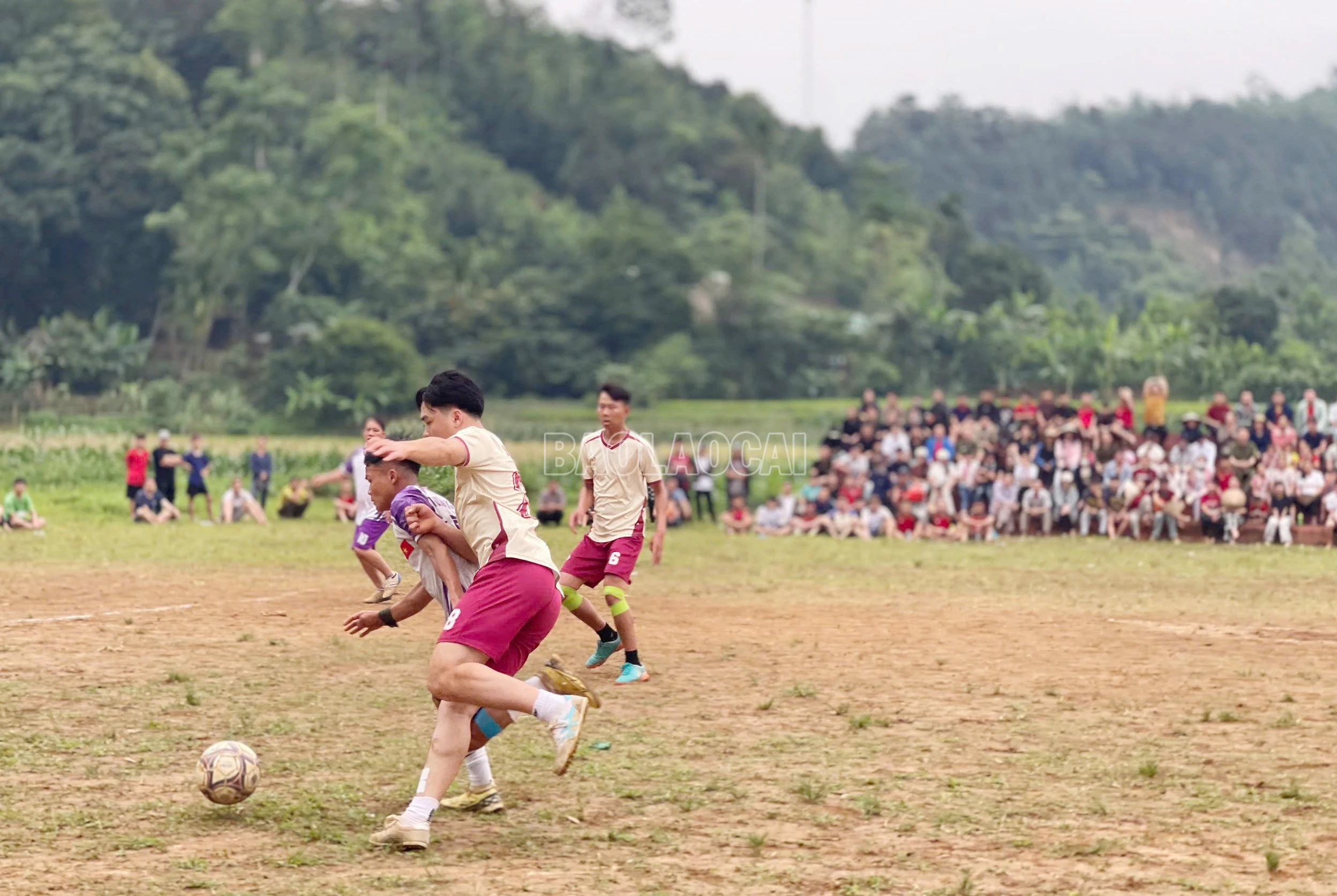 baolaocai-c_z7769312221925-37dfa91e372676f0e7bed018fcf4cdfb.jpg