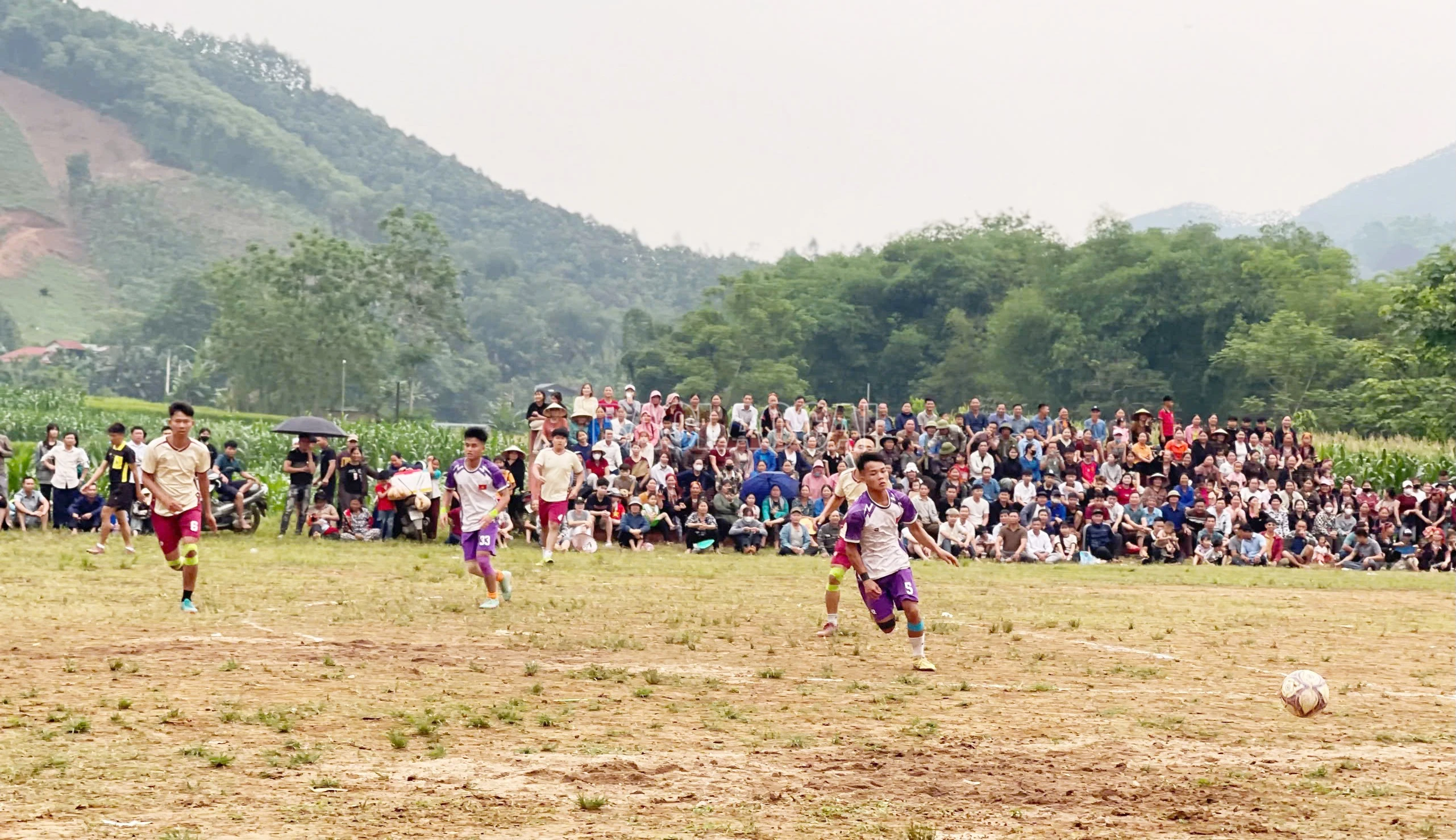 baolaocai-c_z7769312256563-ad5d5da6ad380e67ab5e1583183fad2f.jpg