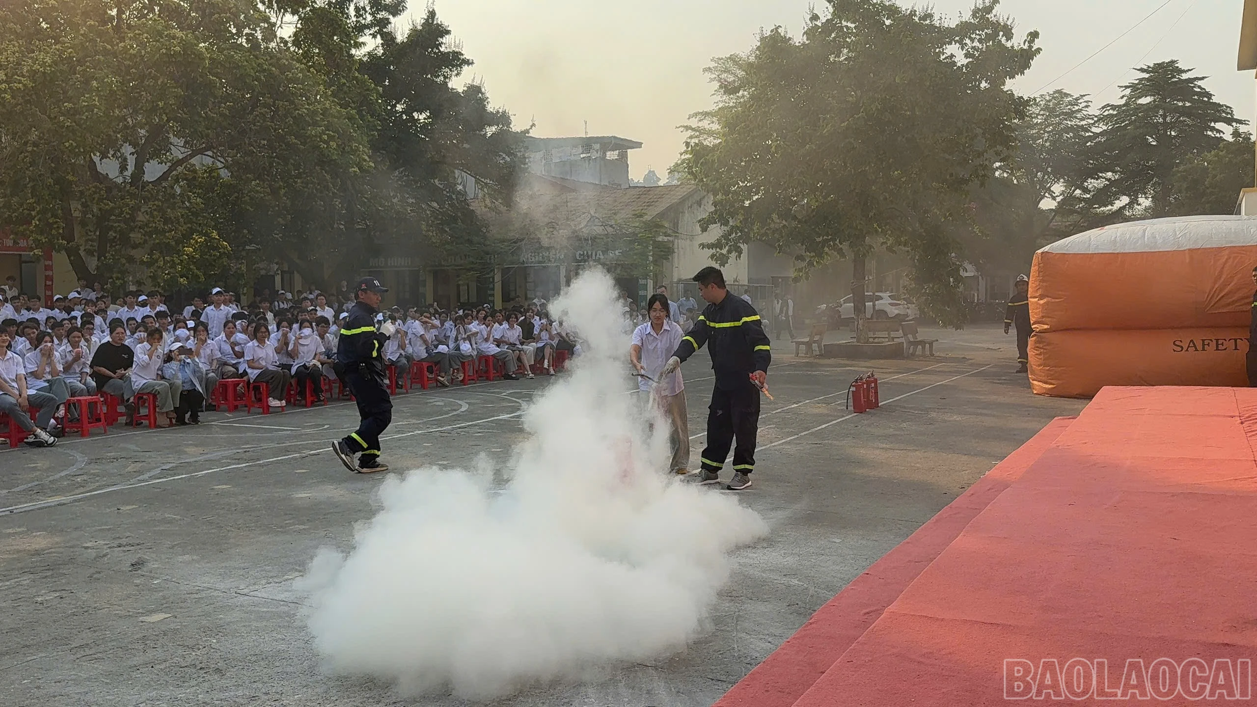 baolaocai-br_z7723613612656-2c3231af28031b0f382c092574172bf6.jpg