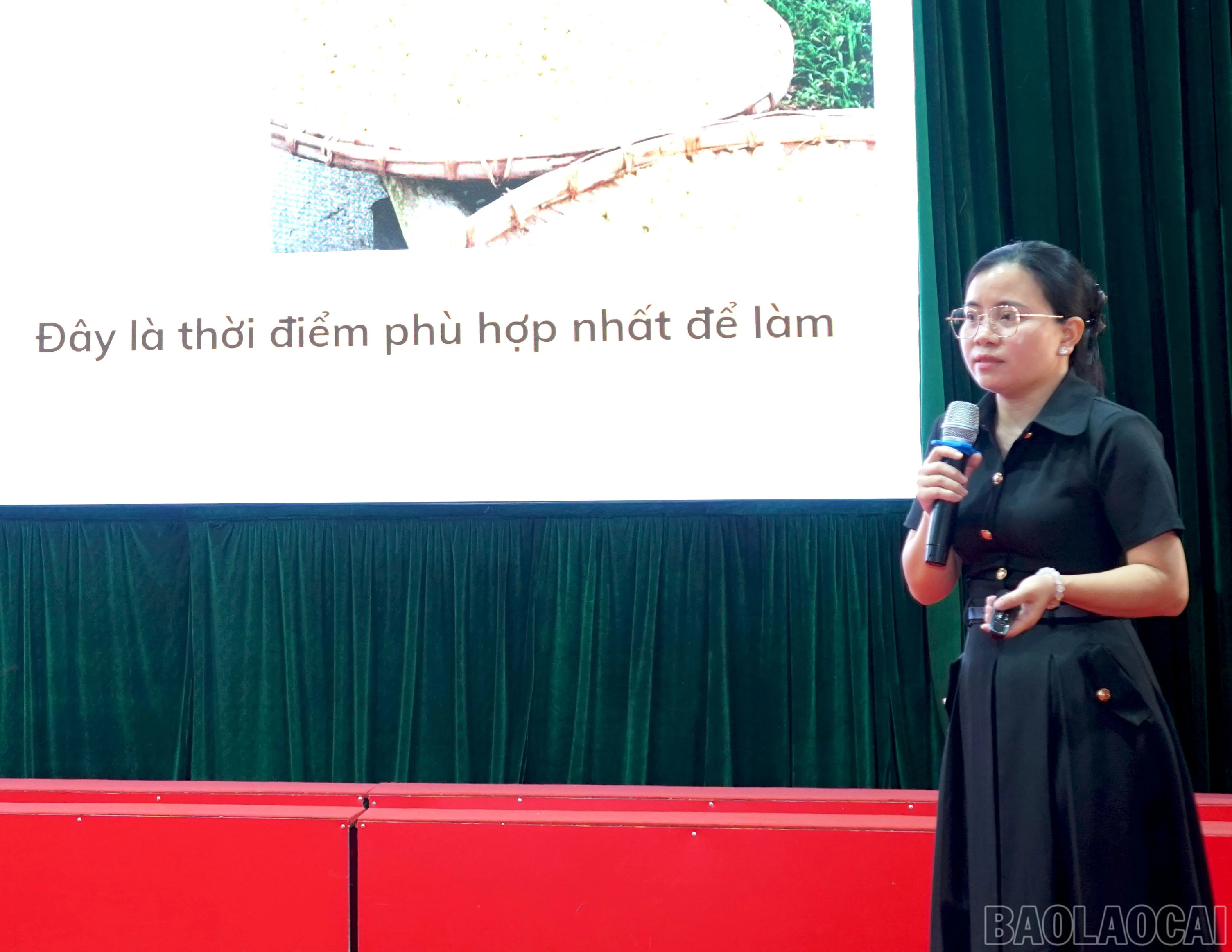 baolaocai-br_giam-doc-htx-van-an-trinh-bay.jpg