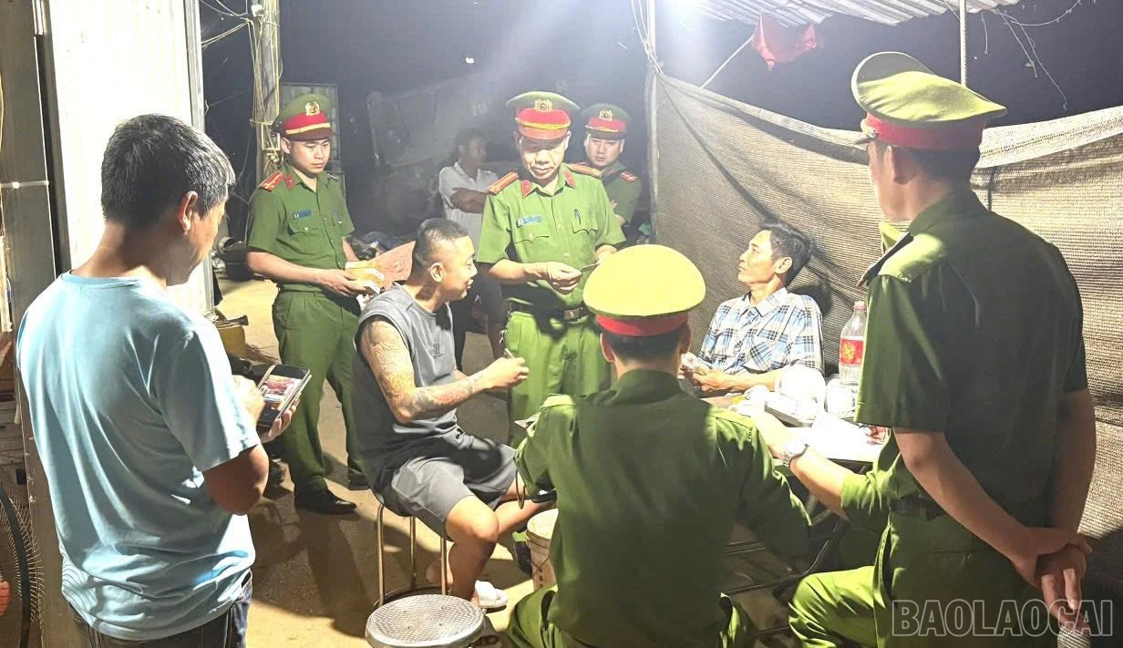 baolaocai-br_anh-1.jpg