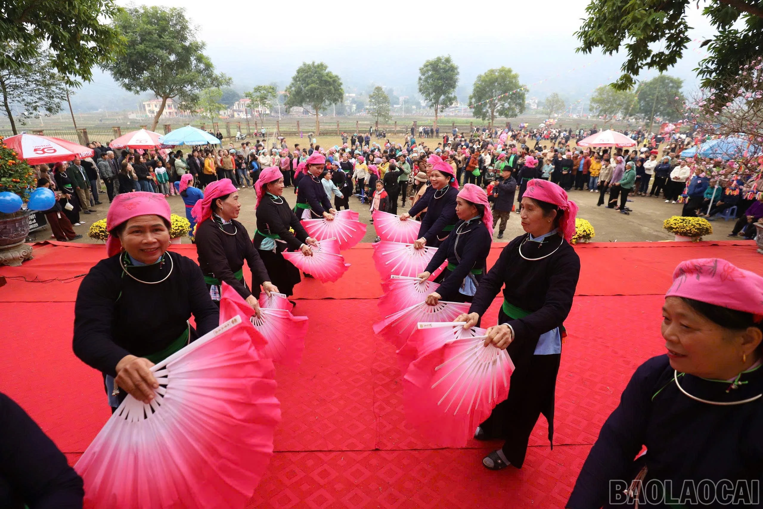 baolaocai-br_z7532970099147-8d61d8cd10b2fed131ff2bbaafc2efd6.jpg