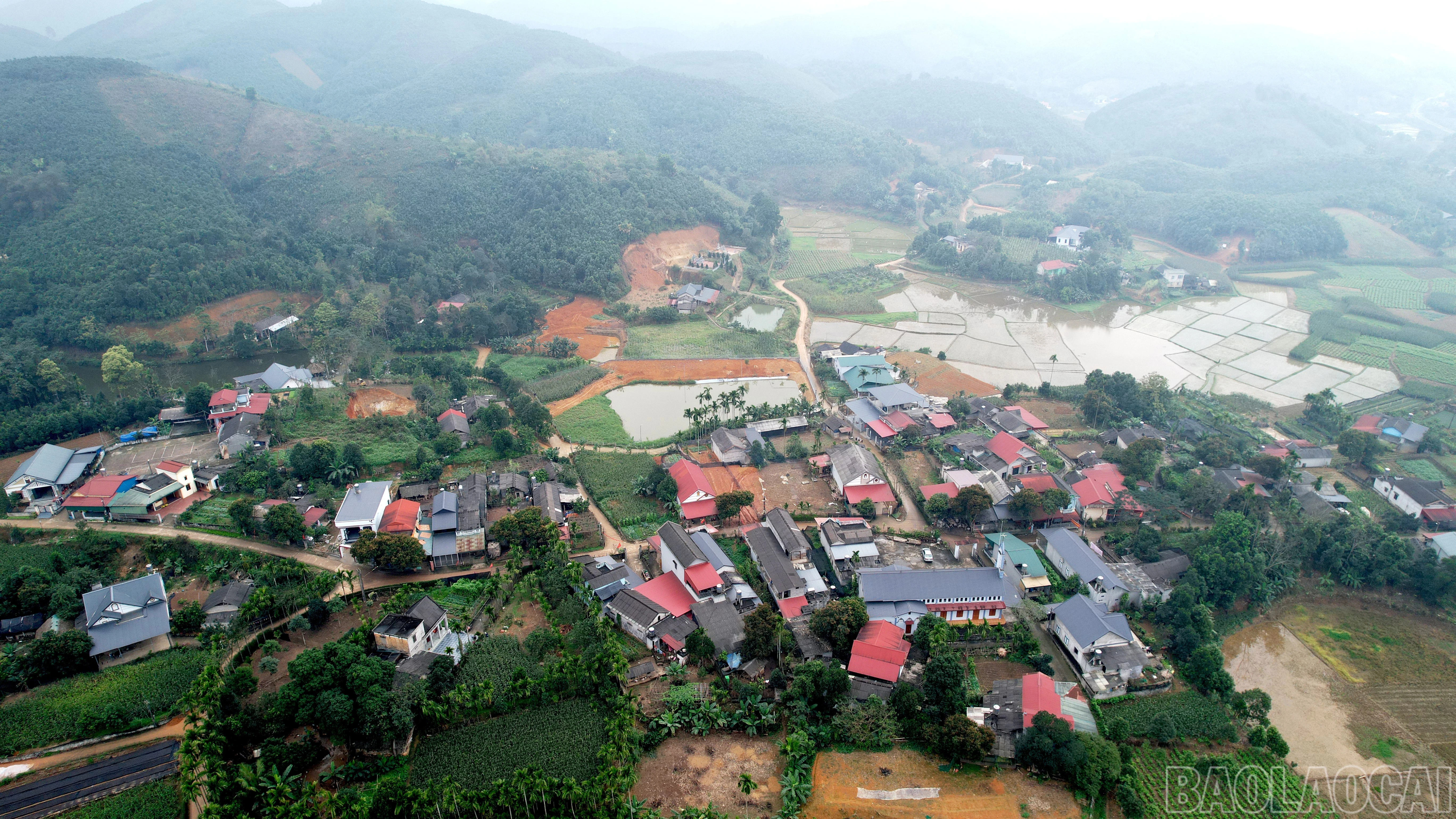 baolaocai-br_dji-0238.jpg