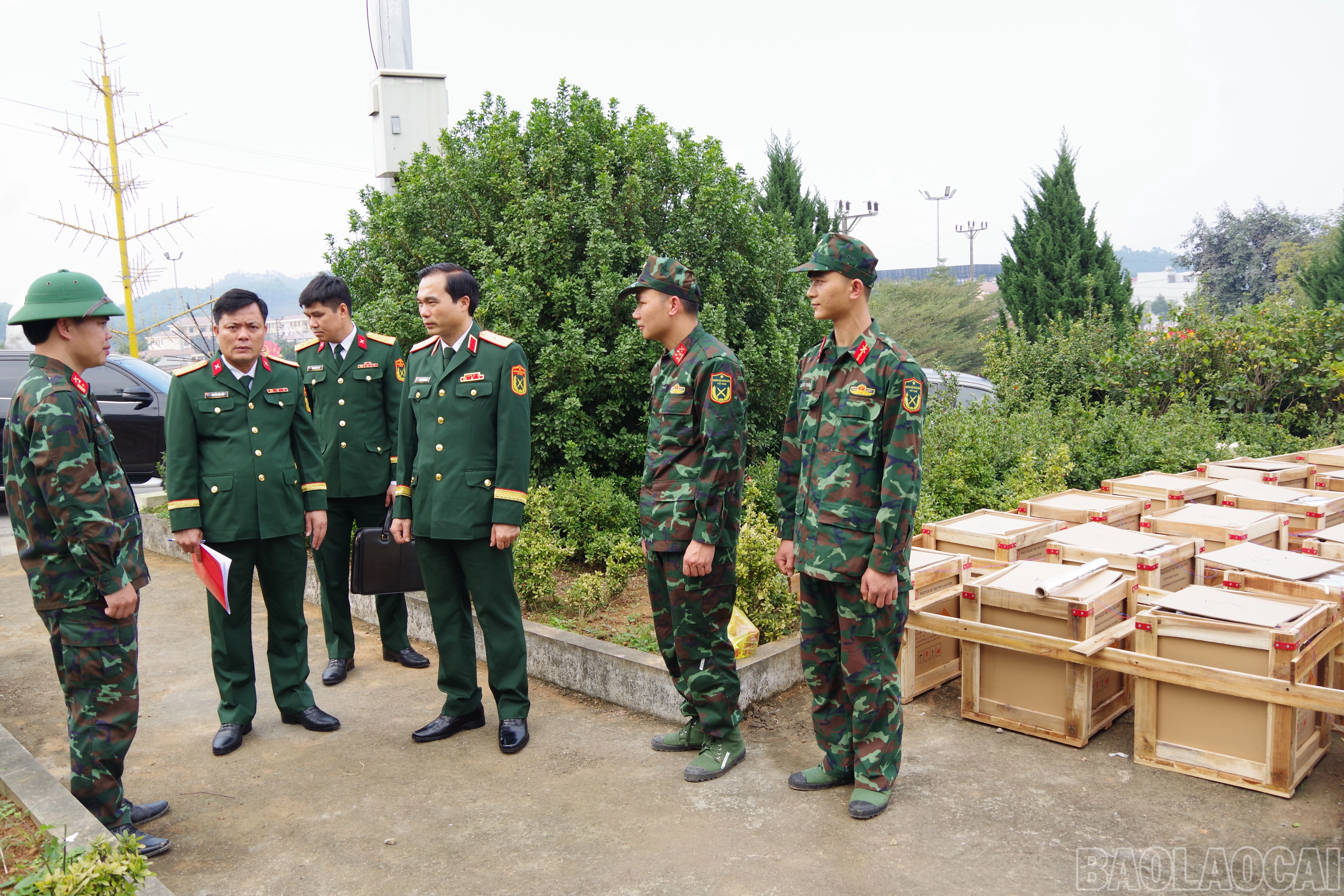 baolaocai-br_a2-4.jpg