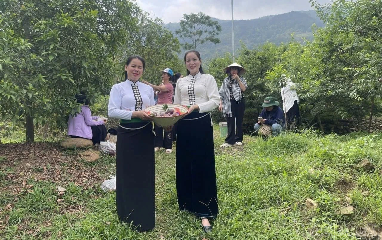 baolaocai-br_br-trai-nghiem-hai-man-tai-vuon.jpg