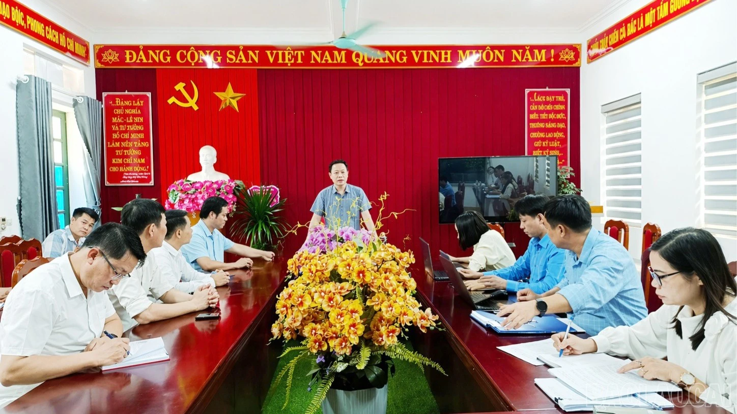 baolaocai-br_br-70633702-3d4e-494b-b158-06cffd6c96ca-2-1-6384.jpg