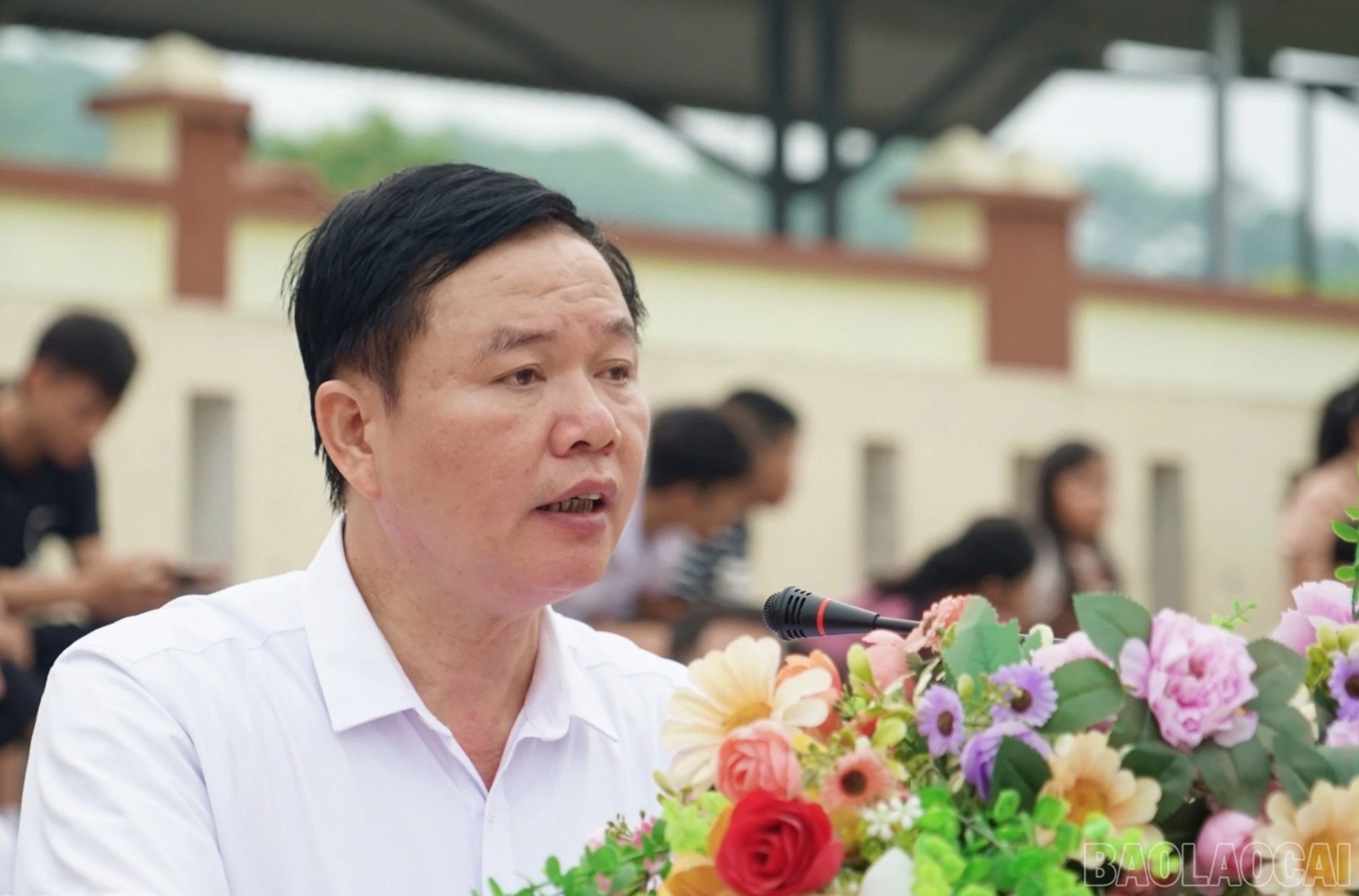 baolaocai-br_bl-tang-4372.jpg