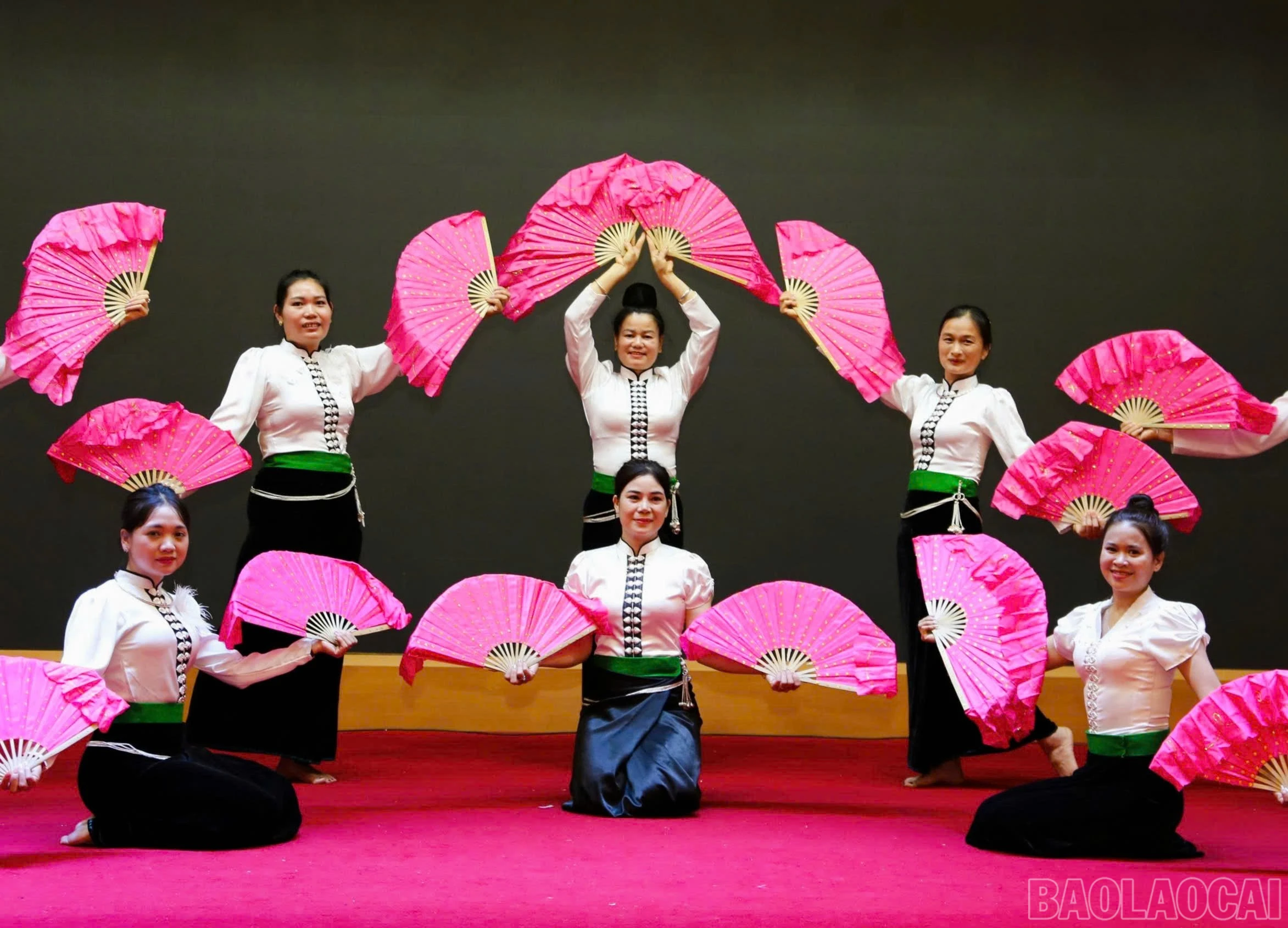baolaocai-br_mong-muon-mang-den-tiet-muc-dac-sac-nhat.jpg