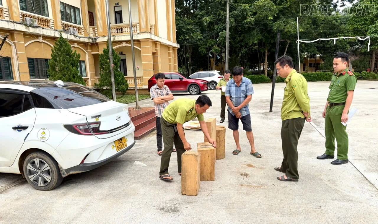 baolaocai-tr_2-cong-an-xa-van-ban-phoi-hop-voi-hat-kiem-lam-khu-vuc-van-ban-tien-hanh-kiem-tra-xac-minh-lam-ro-nguon-goc-so-lam-san-theo-quy-dinh-cua-phap-luat.jpg