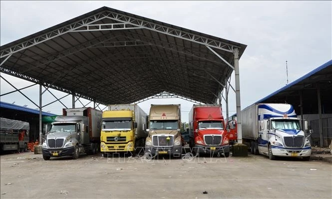 Xe container vận chuyển hàng hoá chuẩn bị xuất khẩu sang Campuchia qua Cửa khẩu Quốc gia Khánh Bình, tỉnh An Giang.