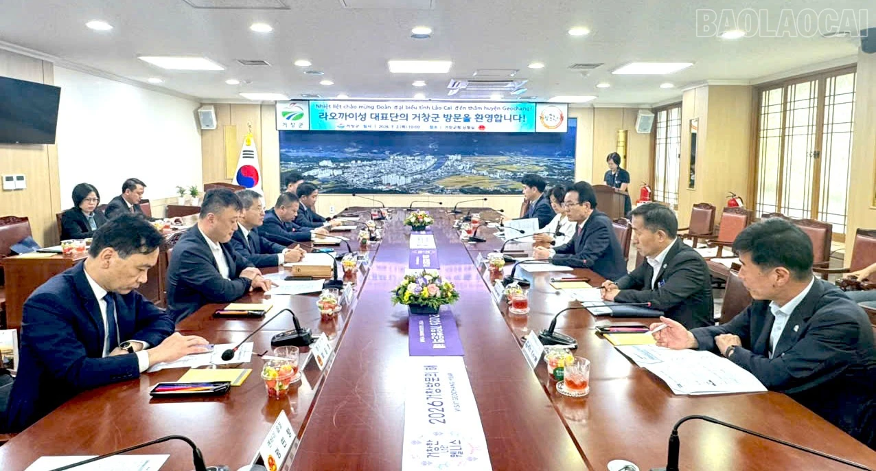 baolaocai-tr_z7999483624610-198e95ff4803d2033704b1fee7b56234.jpg