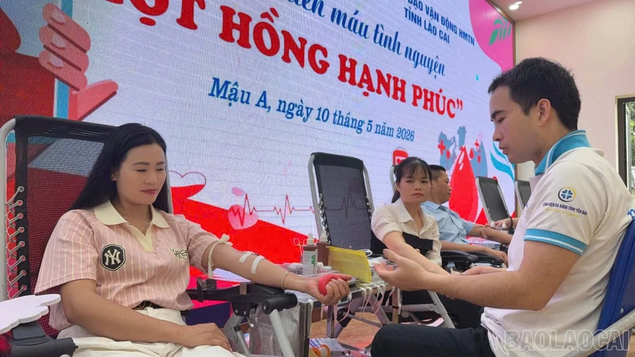 Ngày hội thu hút gần 600 người tham gia hiến máu.
