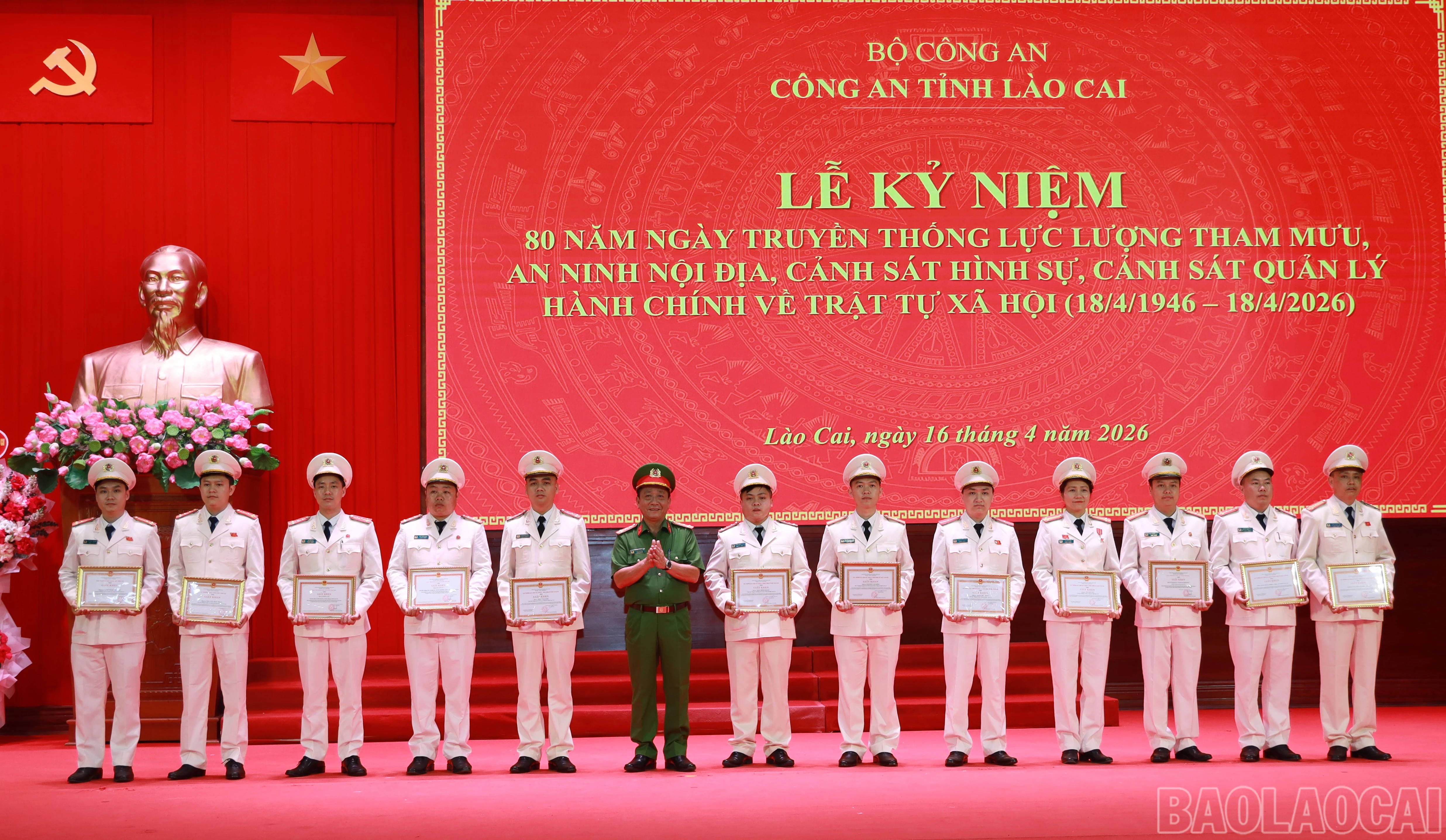 baolaocai-br_anh-5.jpg