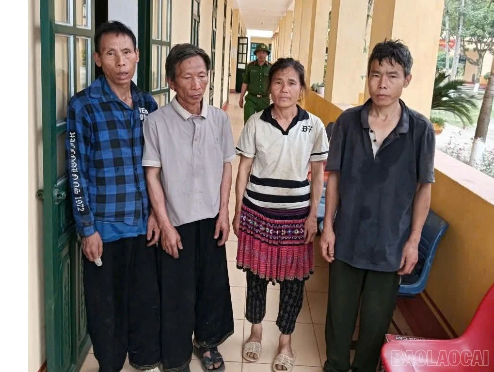 baolaocai-br_anh-2-7671.jpg