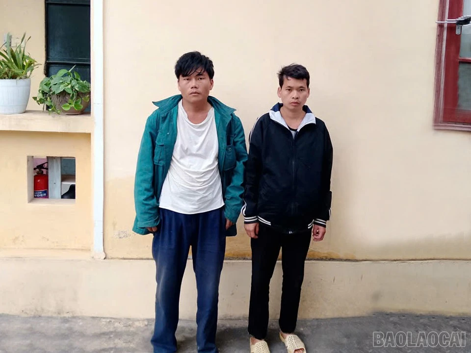 baolaocai-br_anh-1.jpg