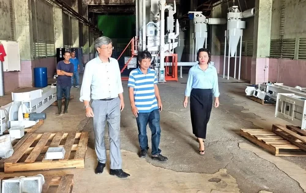 Đại sứ Lê Quang Long tham quan nhà máy xay xát, đánh bóng gạo đang trong quá trình lắp ráp (Ảnh do Đại sứ quán Việt Nam tại Cuba cung cấp)