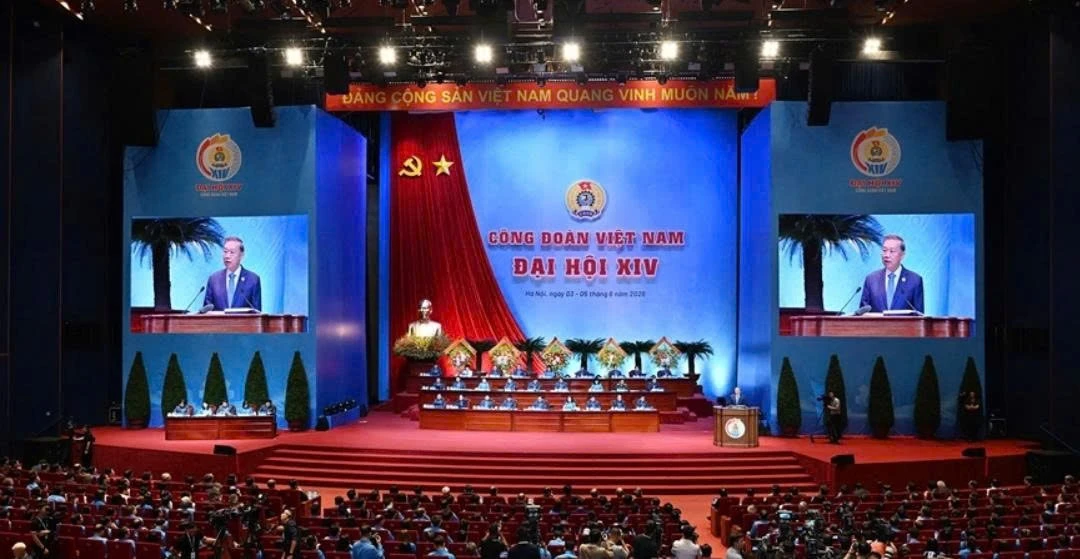 to-lam.jpg
