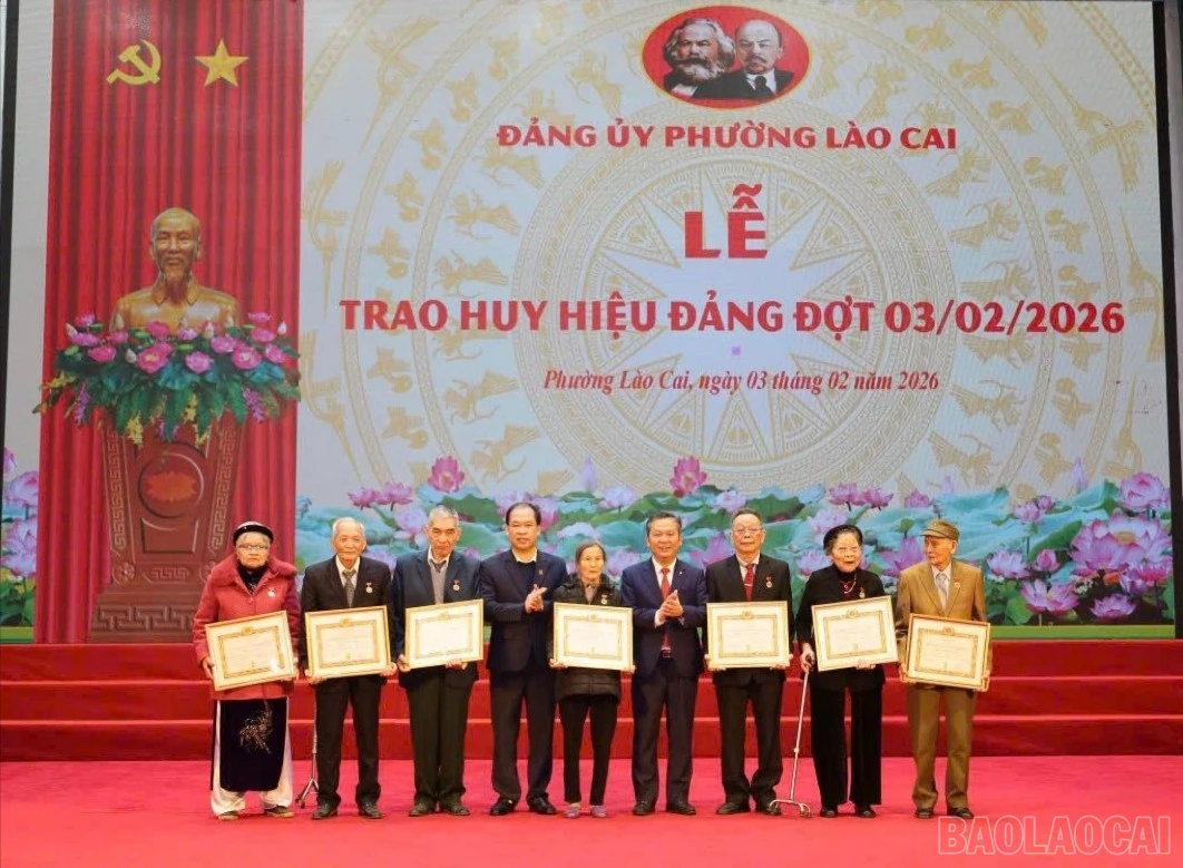 baolaocai-br_11-7846.jpg