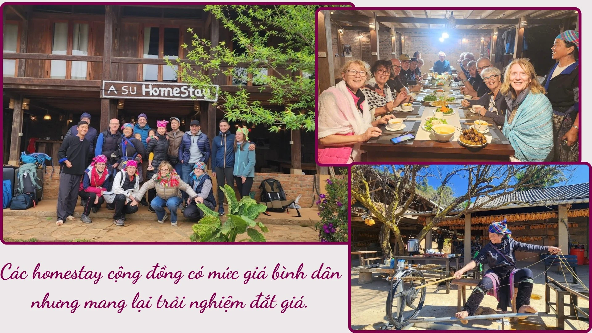 hoai-anh.png
