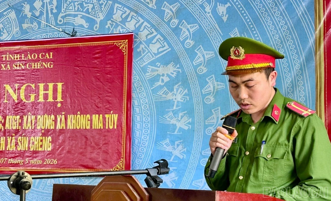 baolaocai-br_z7802047983465-57b67249447d7dd60feb30aa14ff801d-2376.jpg