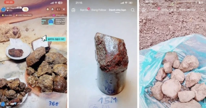 Các buổi livestream có "chim mồi" dụ nạn nhân. Ảnh: Công an Ninh Bình