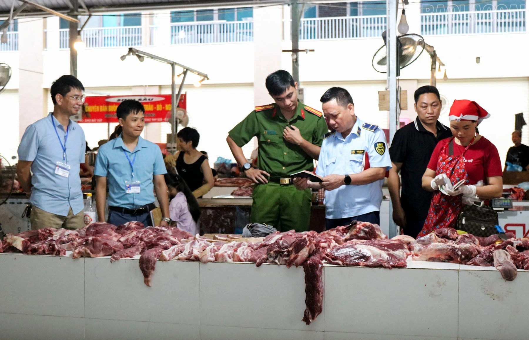 baolaocai-tr_4.jpg