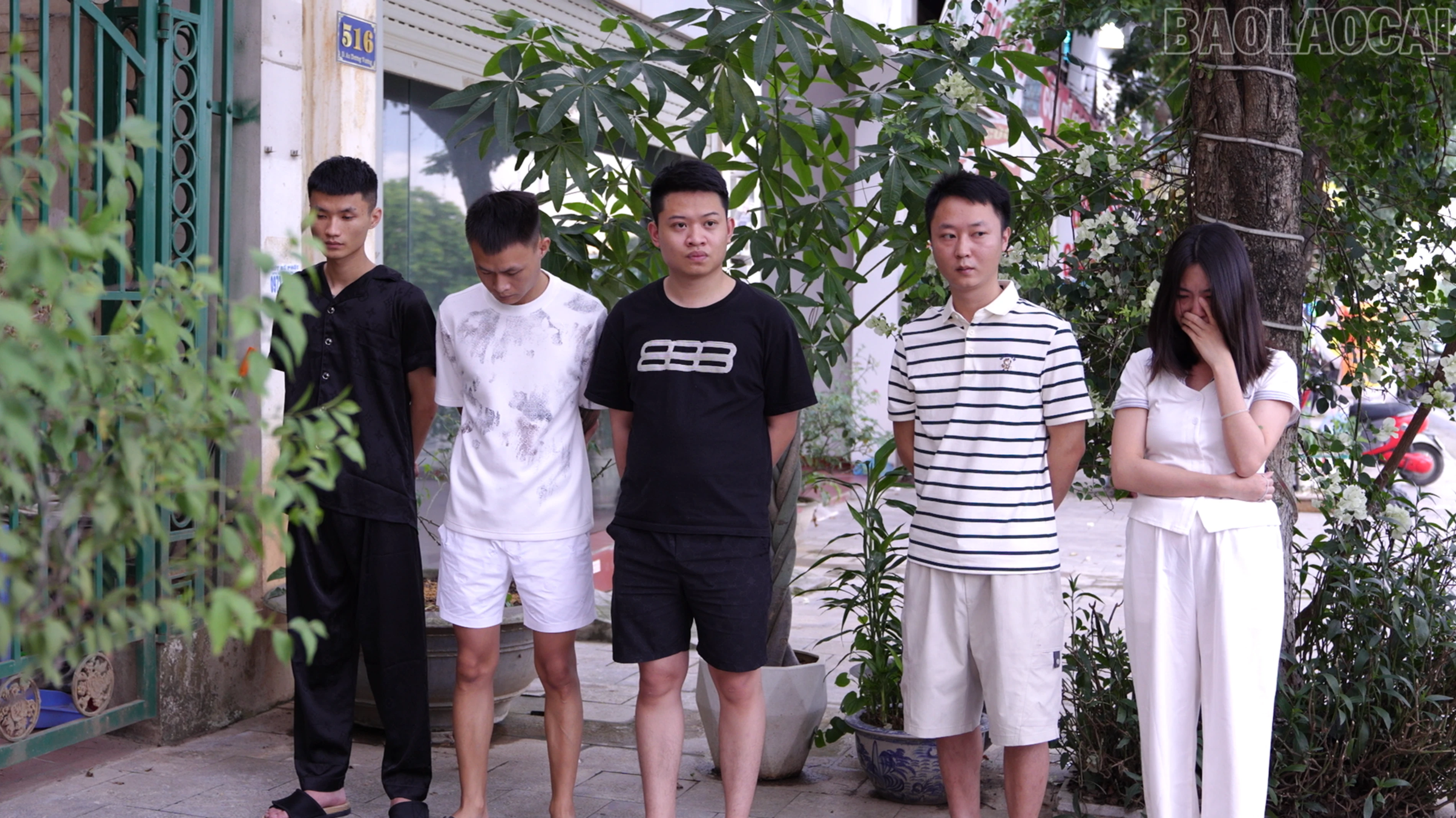 baolaocai-tr_anh-1.png