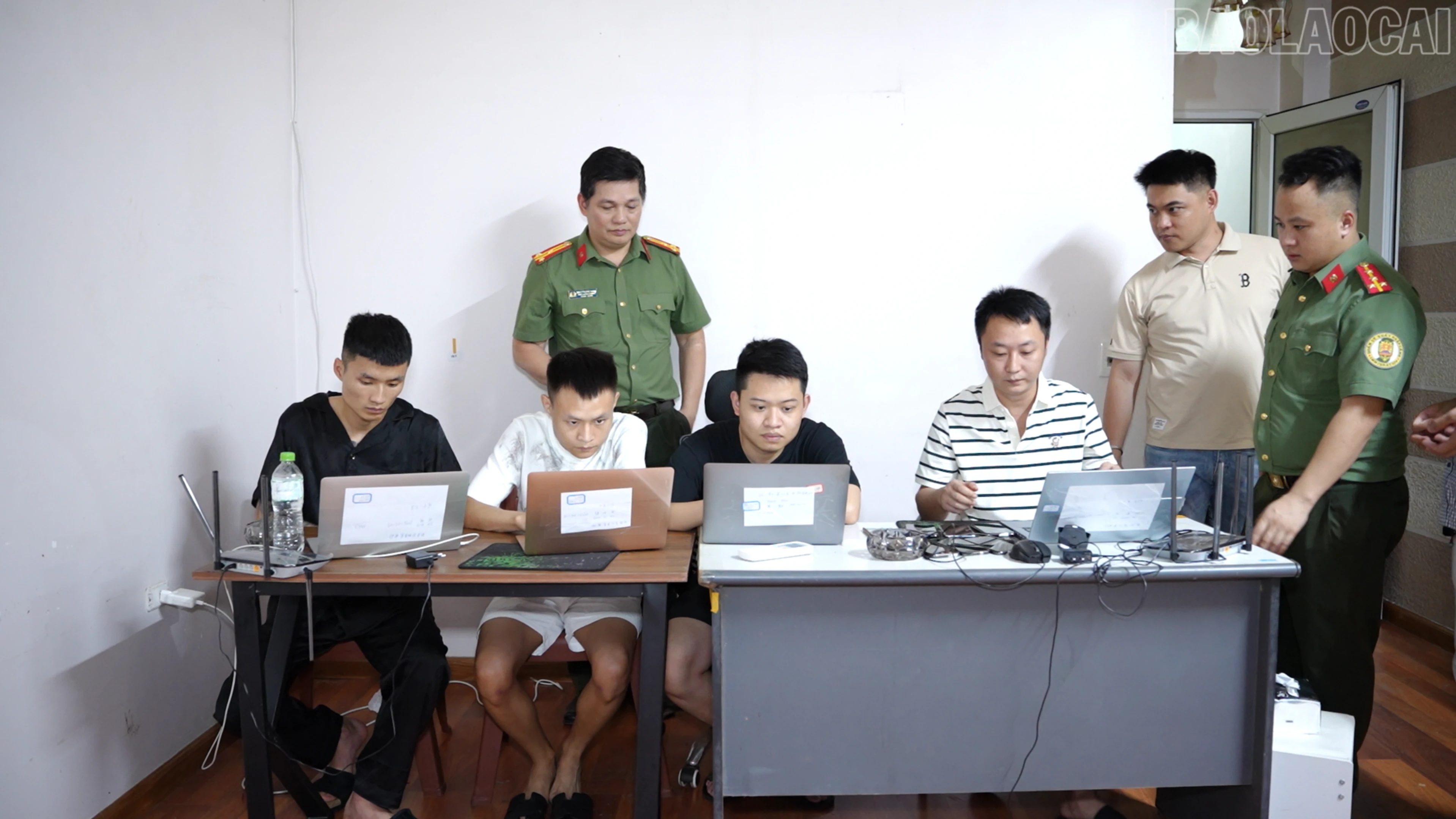 baolaocai-tr_anh-2.png
