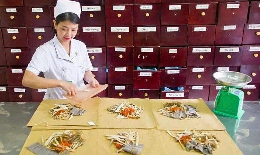 Bác sĩ y học cổ truyền cắt thuốc tại Bệnh viện Bạch Mai. Ảnh: Nguyên Hà