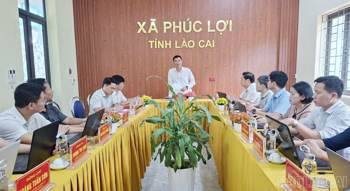 Đồng chí Nguyễn Trung Triều phát biểu tại buổi làm việc.