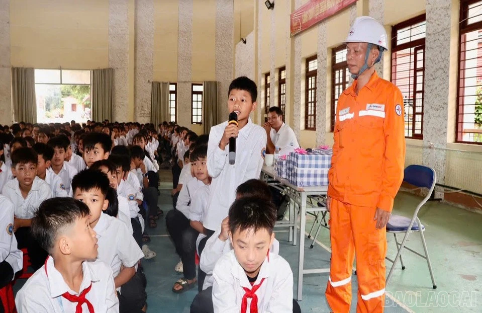 baolaocai-br_anh-3-3239.jpg