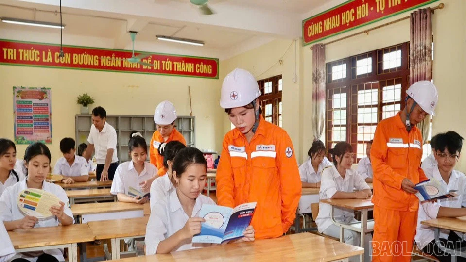 baolaocai-br_anh-4-3470.jpg