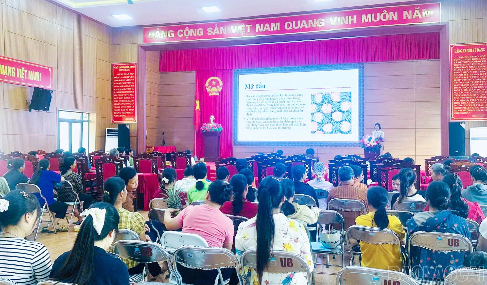 baolaocai-br_toan-canh-hoi-thao.jpg