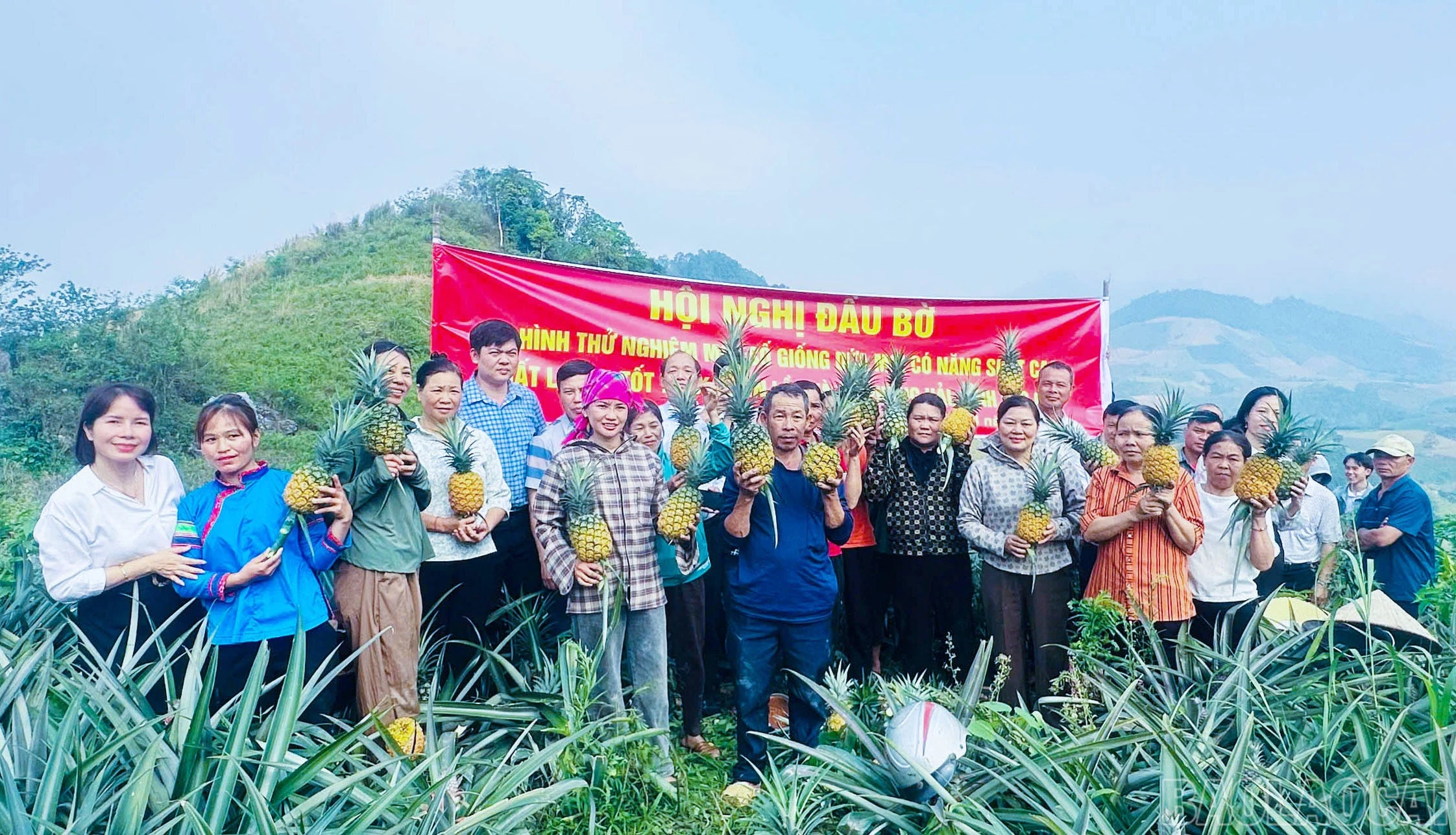 baolaocai-br_cac-dai-bieu-tham-quan-mo-hinh-1.jpg