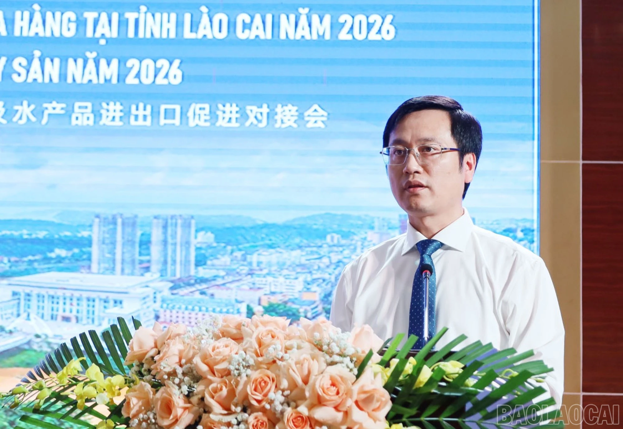 baolaocai-br_tr-1.jpg