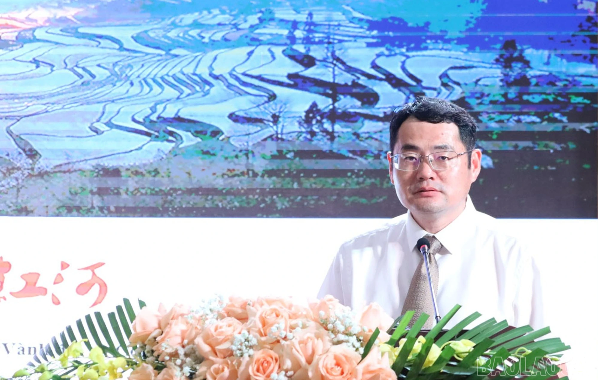 baolaocai-br_img-9913.jpg