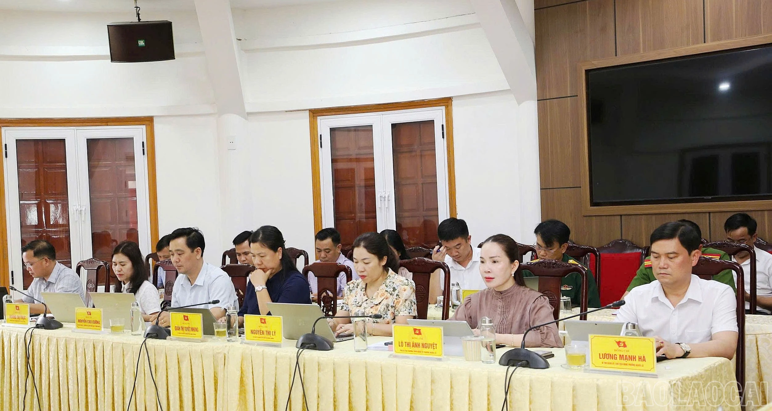 baolaocai-br_phuong-nghia-lo-du.jpg