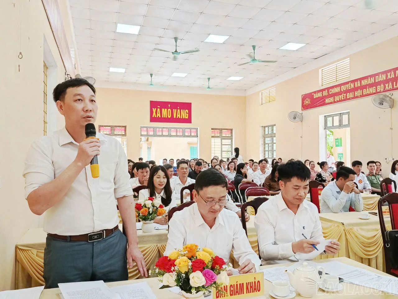 baolaocai-br_9.jpg