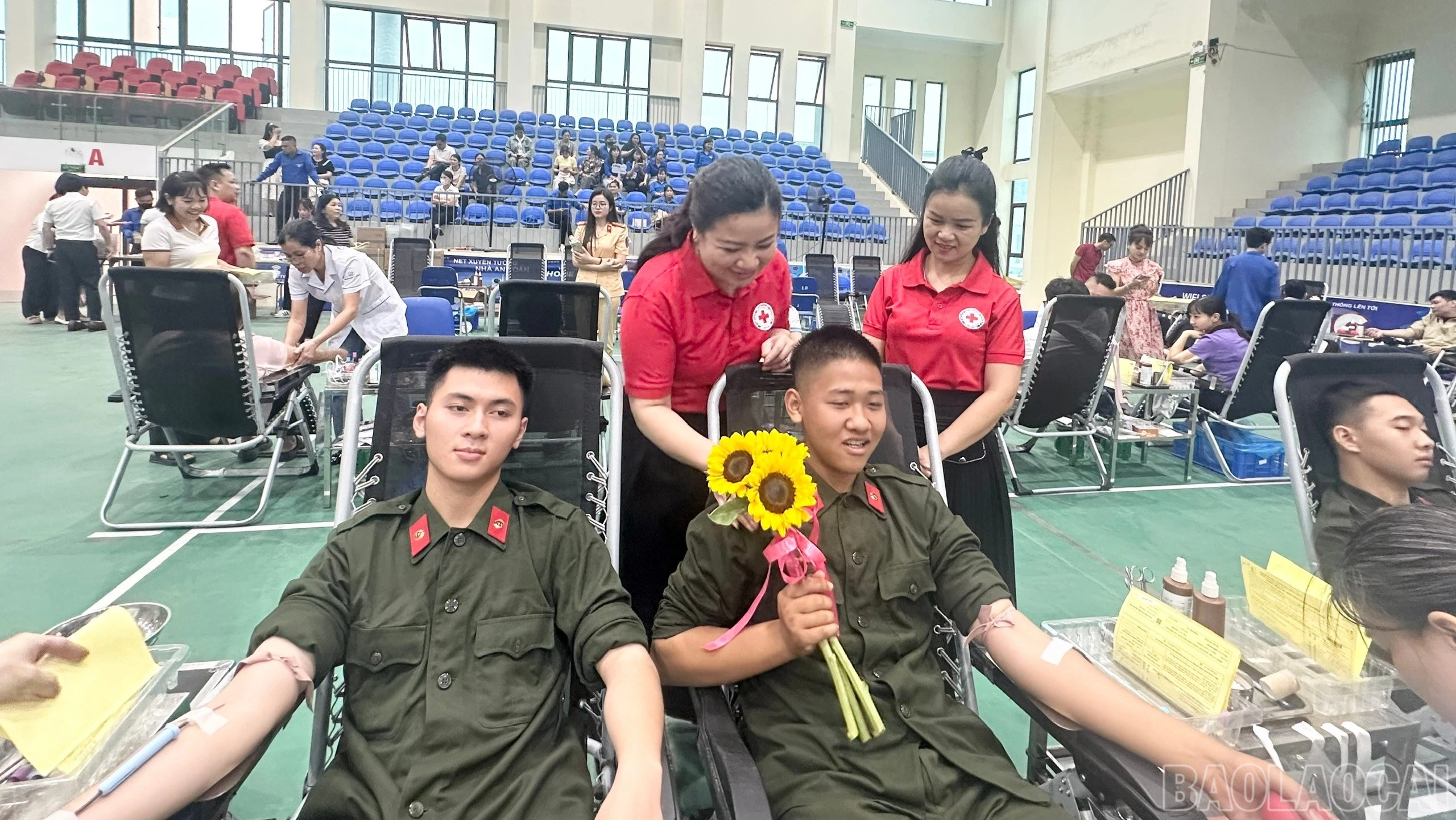 baolaocai-br_z7743965456904-9876532a86ce9c499797b82aadb7e184-415.jpg